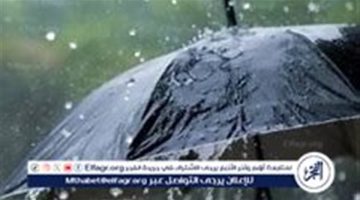 نشاط الرياح وانخفاض درجات الحرارة - التقرير