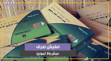 مفيش صرف عيش ولا تموين.. أسباب تحرمك من الدعم النقدي (فيديو جراف) - التقرير