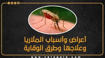 أعراض وأسباب الملاريا وعلاجها وطرق الوقاية (إنفوجراف) - التقرير