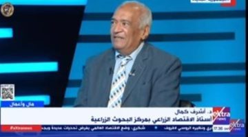 أستاذ اقتصاد زراعي: هناك تنمية شاملة في سيناء واستزراع 500 ألف فدان - التقرير