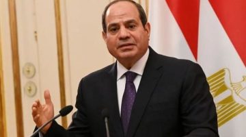 الرئيس السيسي: تحركنا في إطار استراتيجية متوازنة للتغلب على التحديات - التقرير