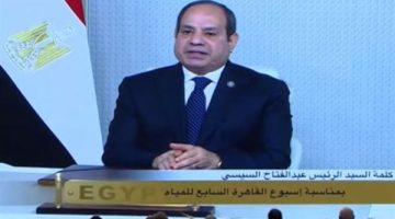 الرئيس السيسي: مصر تسعي من خلال رئاسة مجلس وزراء المياه الأفارقة لتعزيز التعاون الإقليمى - التقرير