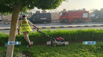 رئيس جهاز بني سويف الجديدة يتابع معدلات تنفيذ أعمال الطرق والزراعة (صور) - التقرير