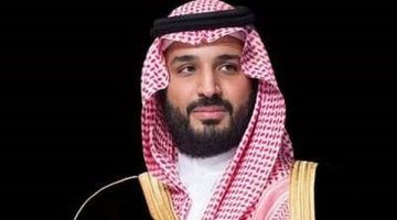 ولي العهد السعودي يغادر إلى مصر للقاء الرئيس السيسي - التقرير