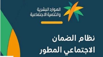 موقف المطلقة من التسجيل.. الأوراق المطلوبة للتسجيل في الضمان المطور - التقرير