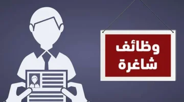 «العمل» تعلن عن 5548 وظيفة جديدة في 11 محافظة: الراتب يبدأ من 6 آلاف جنيه - التقرير