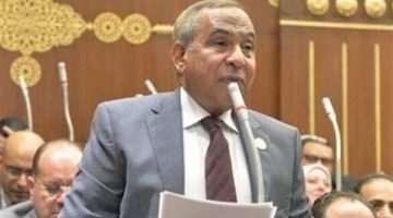 برلماني: كلمة الرئيس السيسي بتجمع البريكس تعزيز لرؤية مصر في التعاون الدولى - التقرير