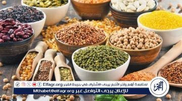 أسعار البقوليات اليوم الأحد 20-10-2024 في أسواق ومحال محافظة الدقهلية - التقرير