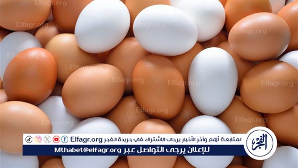 استقرار أسعار البيض في السوق وسط تراجع أسعار الدواجن – التقرير