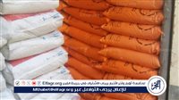 عضو زراعة البرلمان يزف بشرى سارة للمزارعين بشأن الأسمدة (فيديو) - التقرير