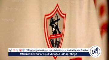 أسباب عدم إبرام الزمالك لصفقات جديدة في الميركاتو الصيفي - التقرير