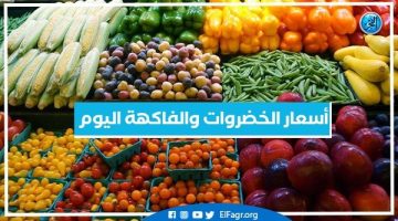 أسعار الخضروات والفاكهة اليوم الأربعاء 23-10-2024 في أسواق محافظة البحيرة - التقرير