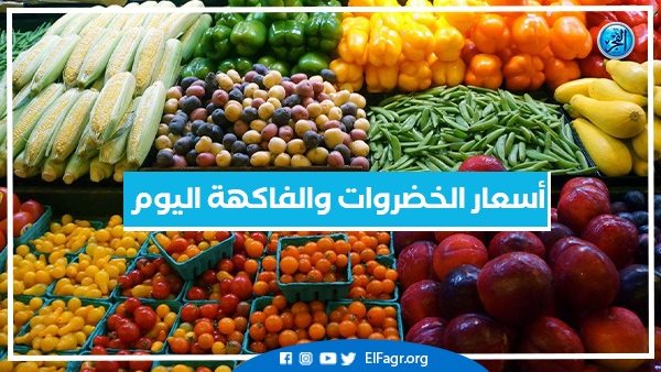 أسعار الخضروات والفاكهة اليوم الأربعاء 23-10-2024 في أسواق محافظة البحيرة – التقرير