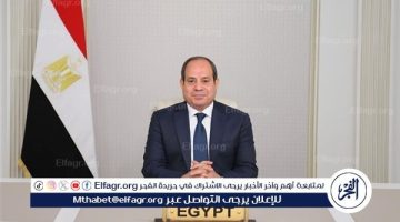 الرئيس السيسي: مصر تؤمن بأهمية تعزيز النظام الدولي متعدد الأطراف - التقرير