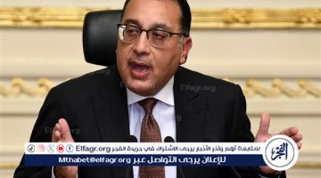 مجلس الوزراء يعتمد تعاقد هيئة التأمين الصحي مع E-Health لتطوير الخدمات الرقمية - التقرير