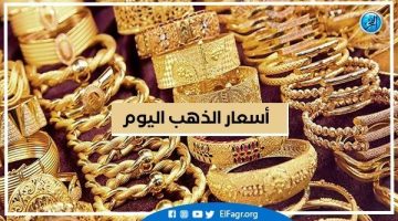 أسعار الذهب اليوم السبت 26-10-2024 في محافظة البحيرة - التقرير