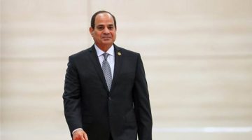 الرئيس السيسي: نرحب بتبادل الخبرات بين الشركات المصرية والجزائرية - التقرير