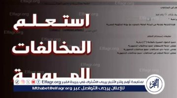 مخالفات المرور مصر.. كيفية الاستعلام بالرقم القومي - التقرير