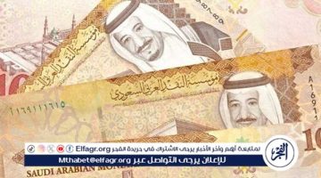 استقرار سعر الريال السعودي اليوم الثلاثاء 29 أكتوبر 2024 مقابل الجنيه المصري - التقرير