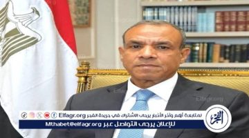 وزير الخارجية: مصر تقدم كل المساعدات لدول الساحل الإفريقي لمكافحة الإرهاب - التقرير