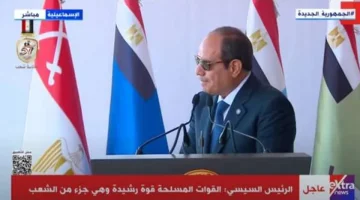 السيسي: الخيار الوحيد بعد نهاية الحرب إقامة دولة فلسطينية عاصمتها القدس - التقرير