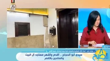 أستاذ آثار إسلامية: «سيدي أبو الحجاج» رمز لمدينة الأقصر وأشهر مساجد آل البيت - التقرير