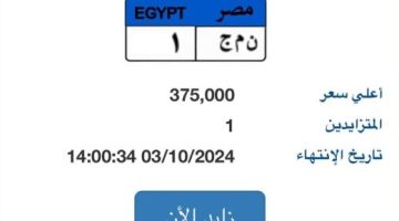 طرح لوحة "ن م ج- 1" المميزة بالمزاد وسعرها يصل 375 ألف جنيه - التقرير