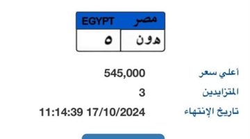 "هـ و ن- 5" لوحة مميزة جديدة يزايد عليها 3 أشخاص بسعر يتخطى نصف مليون جنيه - التقرير