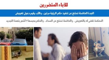 حكم قضائى بحبس الجدة الحاضنة 7 أشهر لاتهامها بتبديد منقولات محجوز عليها.. برلمانى - التقرير