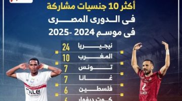 أكثر 10 جنسيات مشاركة في الدوري المصري بالموسم الجديد.. إنفوجراف - التقرير