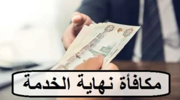 الأوراق المطلوبة لصرف مكافأة نهاية الخدمة.. شروطها وطريقة حسابها - التقرير