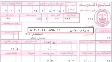 برقم العداد.. طريقة الاستعلام عن قيمة فاتورة الكهرباء لشهر أكتوبر 2024 - التقرير