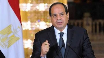 الرئيس السيسي: السلام العادل هو الحل الوحيد لضمان التعايش الآمن - التقرير