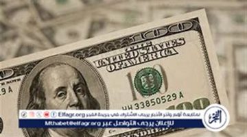 استقرار سعر الدولار اليوم السبت 26 أكتوبر 2024 في مصر - التقرير