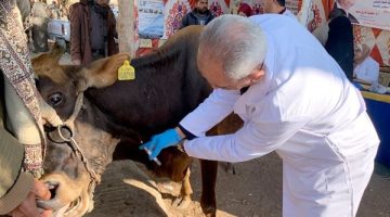 تعرف على أنشطة وجهود مديريات الزراعة والطب البيطري خلال أسبوع - التقرير