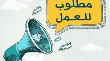 يوم توظيفي للشباب.. اعرف مميزات الوظائف وشروط التقديم - التقرير