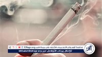 مخاطر التدخين على صحة العمود الفقري – التقرير