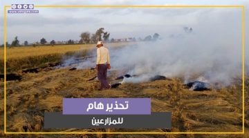 تحذير هام للمزارعين خلال الـ48 ساعة القادمة.. ما القصة؟ (فيديوجراف) - التقرير