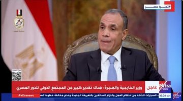 وزير الخارجية: نجحنا في تحقيق مبدأ الاتزان الاستراتيجي الذي صكه الرئيس السيسي - التقرير