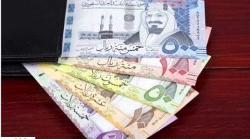 سعر الريال السعودى في مصر اليوم.. الأربعاء 9 أكتوبر 2024 - التقرير