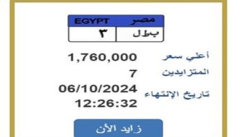 «ب ط ل 3».. مزايدة على لوحة سيارة مميزة بقيمة مليون و760 ألف جنيه - التقرير