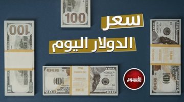 سعر الدولار اليوم الإثنين 7 أكتوبر 2024 في مصر «آخر تحديث» - التقرير