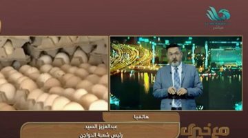 «شعبة الدواجن» تكشف أسباب ارتفاع سعر بيض المائدة «فيديو» - التقرير