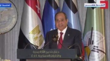 الرئيس السيسي: شهر أكتوبر يأتي كل عام حاملا رسائل الانتصار والمجد - التقرير