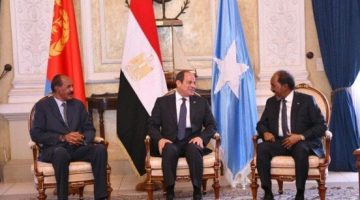 الرئيس السيسي ونظيره الإريتري: اتفقنا على وقف إطلاق النار في السودان - التقرير