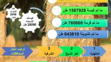 الزراعة: حصاد 94% من المساحات المنزرعة بمحصول الأرز - التقرير