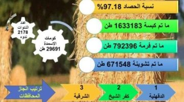 «الزراعة»: حصاد 97% من المساحات المنزرعة بمحصول الأرز - التقرير