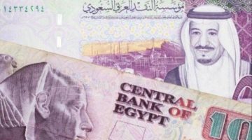 سعر الريال السعودي مقابل الجنيه المصري اليوم السبت 5 أكتوبر 2024 - التقرير