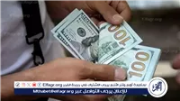 عاجل.. ارتفاع مفاجئ في سعر الدولار اليوم الثلاثاء 5 نوفمبر 2024 مقابل الجنيه بالبنوك – التقرير