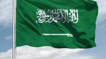 السعودية تدعو العالم لمواجهة تحديات تدهور الأراضي في "كوب 16" الرياض - التقرير